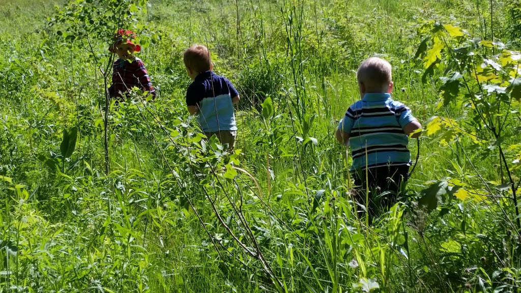 Durham Farm & Rural Family Resources | 64 Victoria Dr, Uxbridge, ON L9P 1H2, Canada | Phone: (905) 862-3131