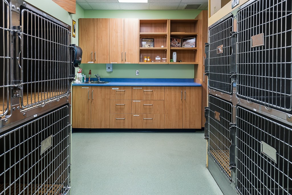 Globalvet - Veterinary Clinic Loretteville | 10935 Boulevard de lOrmière, Québec, QC G2B 3L5, Canada | Phone: (418) 842-5048