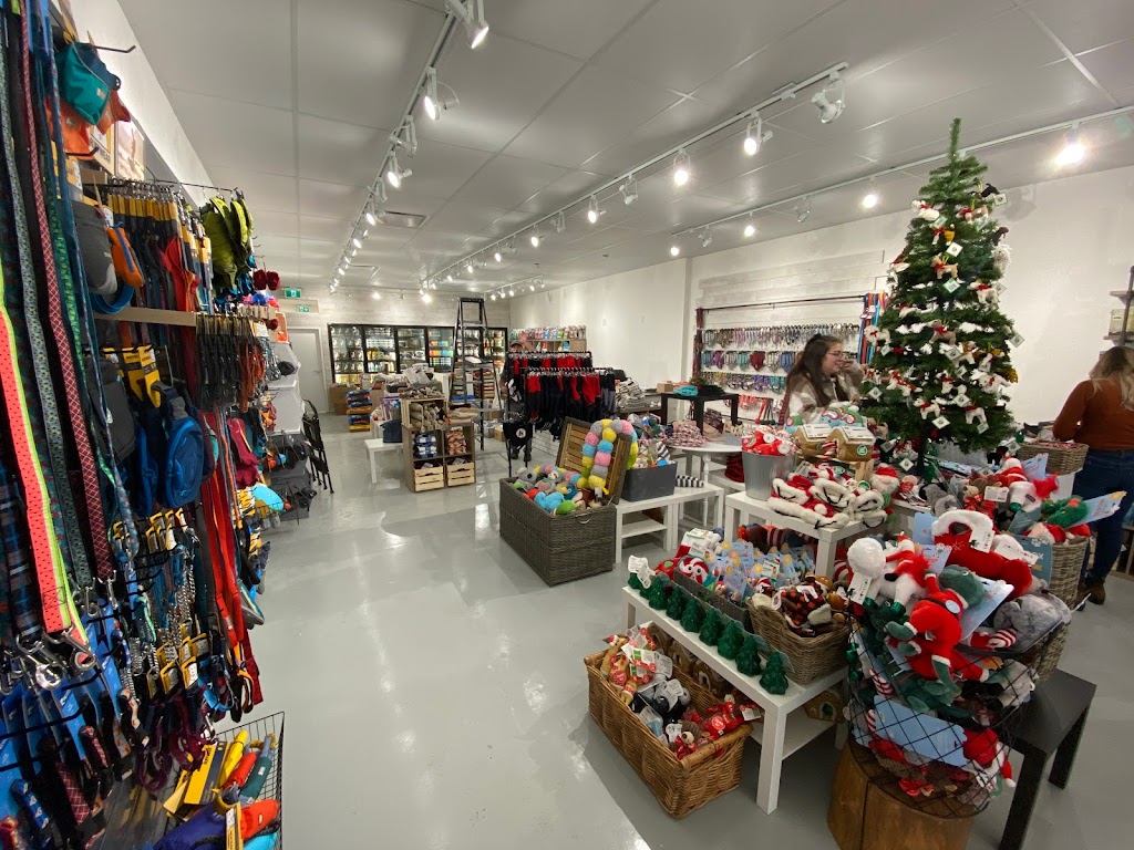 Doodle Dogs - Signal Hill | 1851 Sirocco Dr SW #416, Calgary, AB T3H 4R5, Canada | Phone: (403) 455-3734