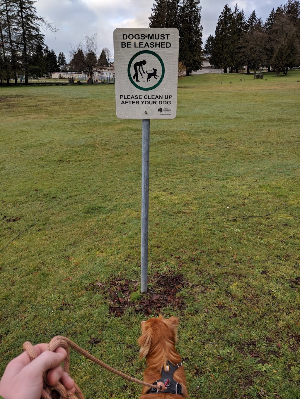 Gilpin School Park | 5622 Eglinton St, Burnaby, BC V5G 2B2, Canada | Phone: (604) 294-7450