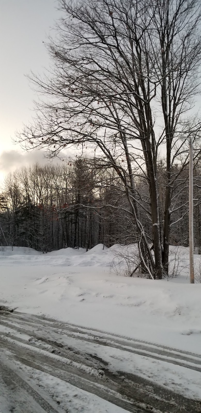 Skyways Motel | 3566 ON-11, Gravenhurst, ON P1P 1R1, Canada | Phone: (705) 687-6608