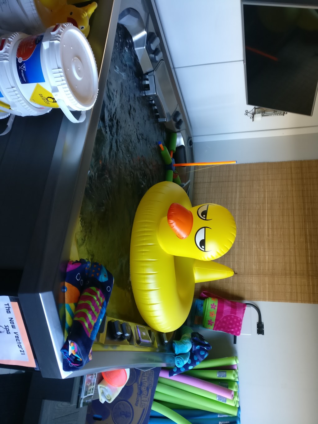 Frisco Pools | 365 Healey Rd, Bolton, ON L7E 5C1, Canada | Phone: (905) 857-1188