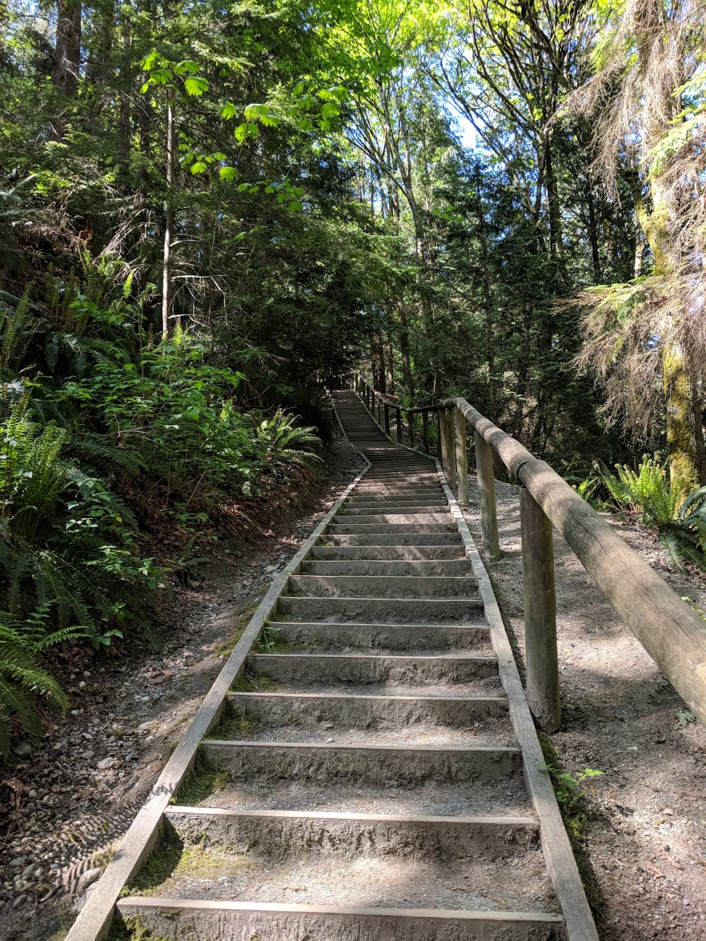 Byrne Creek Ravine Park | 6555 Byrnepark Dr, Burnaby, BC V5E 4L4, Canada | Phone: (604) 294-7450