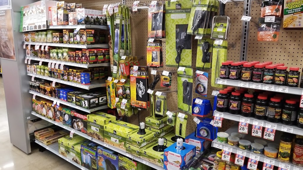 PetSmart | 544 Bayfield St, Barrie, ON L4M 5A2, Canada | Phone: (705) 739-1270