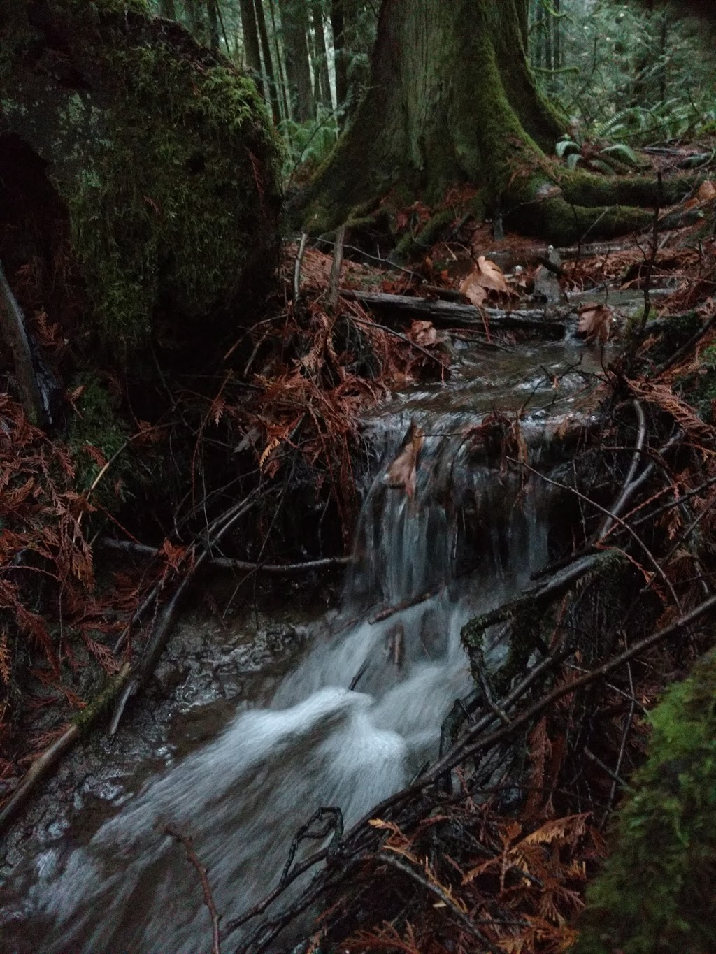 Francis/King Regional Park | Munn Rd, Saanich, BC V9E 1H7, Canada | Phone: (250) 360-3000