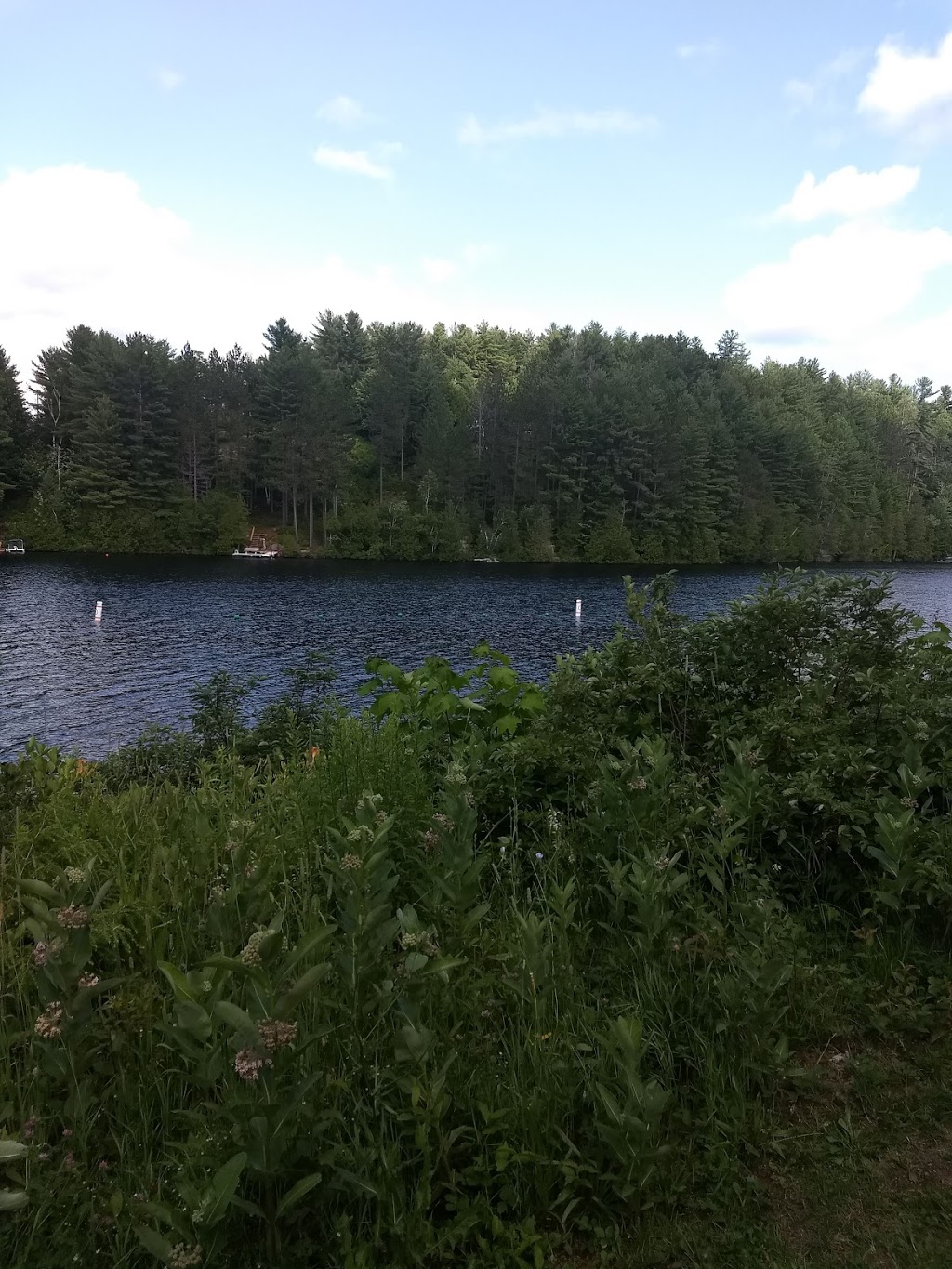 Parc du lac Pierre - Saint-Alphonse-Rodriguez, QC J0K 1W0, Canada