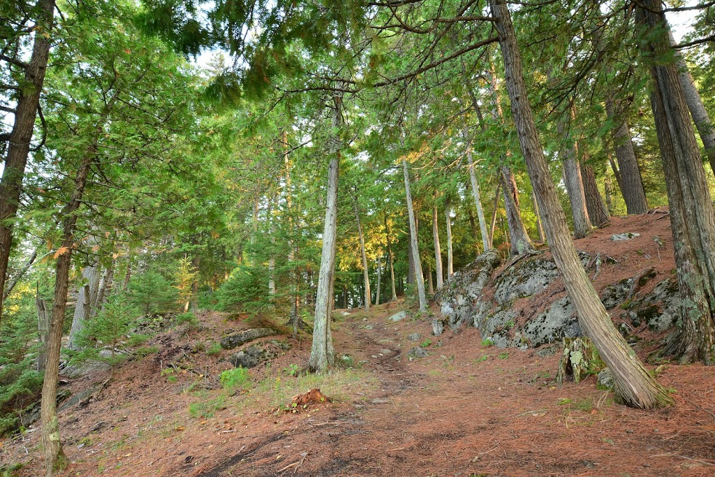 Domaine Larry Boismenu | 15 Chemin Boismenu, Lac-du-Cerf, QC J0W 1S1, Canada | Phone: (819) 597-4195