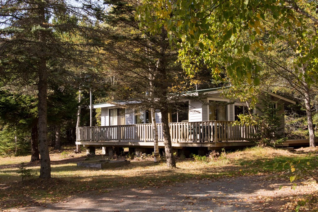 Ponderosa Pines Campground | 4325 NB-114, Lower Cape, NB E4H 3P1, Canada | Phone: (800) 822-8800
