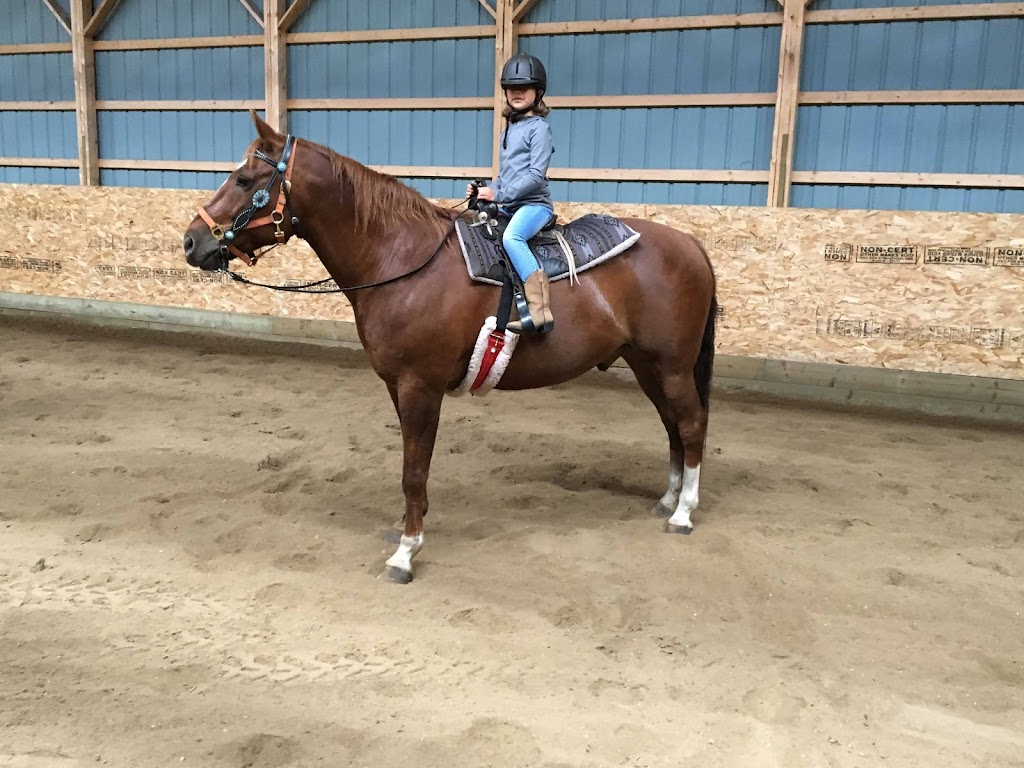 Free Acres Horse Stable | Unnamed Road, 0V0, Kleefeld, MB R0A 0V0, Canada | Phone: (204) 380-9190