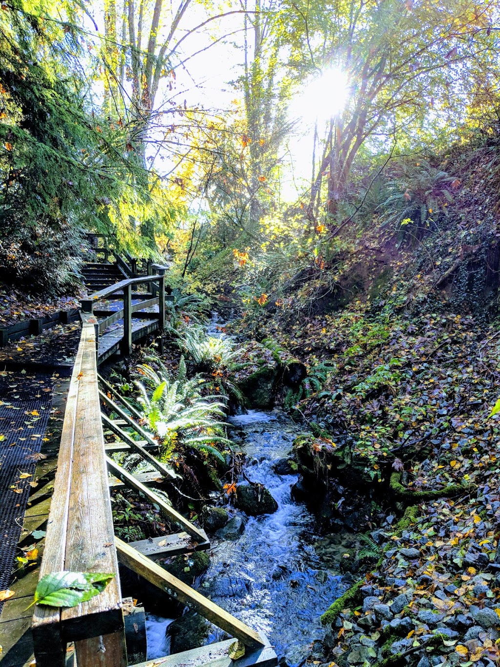 Miller Park | 900 Oakview St, Coquitlam, BC V3J, Canada