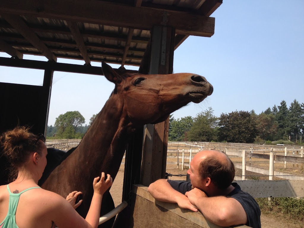 Gulf Islands Horse Association | 113 Village Terrace, Salt Spring Island, BC V8K 2V2, Canada | Phone: (250) 537-2018