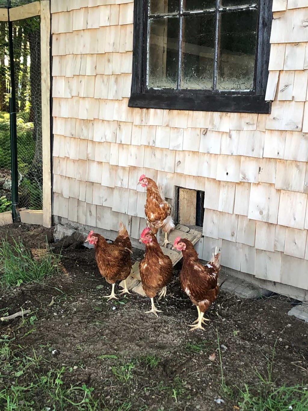 Havre de Paix - Centre & Lieu de ressourcement | 83 Rang de lÉglise N, Saint-Marcel-de-Richelieu, QC J0H 1T0, Canada | Phone: (450) 888-2458