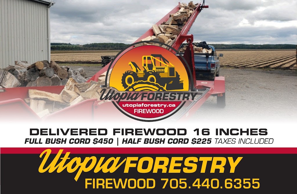 Utopia Forestry | 62 Denney Dr, Baxter, ON L0L 1N0, Canada | Phone: (705) 440-6355