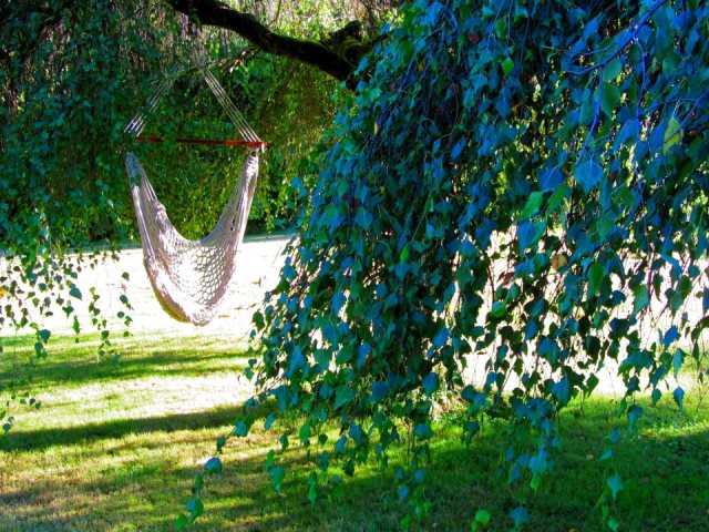 Wisteria Acres Wellness & Retreats | 8648 Armstrong Rd, Langley City, BC V1M 2R3, Canada | Phone: (604) 807-2255