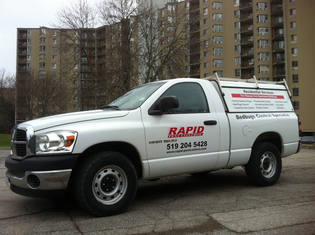 Rapid Pest Control London Onatrio | 606 Blackacres Blvd, London, ON N6G 0H9, Canada | Phone: (519) 204-5428