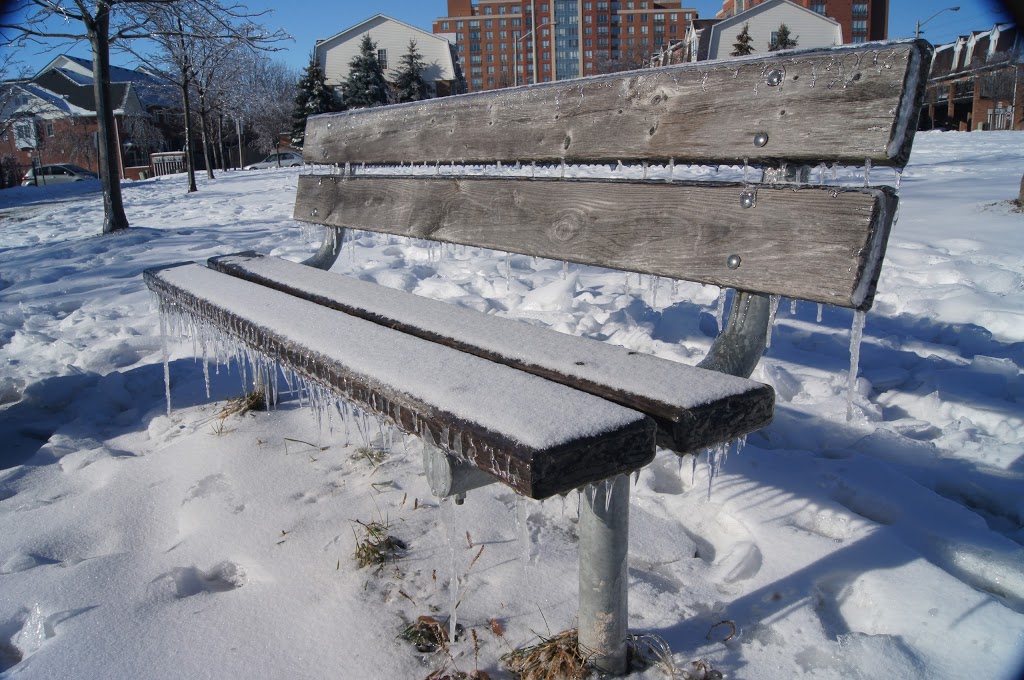 Rosebush Common | 4890 Creditview Rd, Mississauga, ON L5M 5M3, Canada | Phone: (905) 615-4311