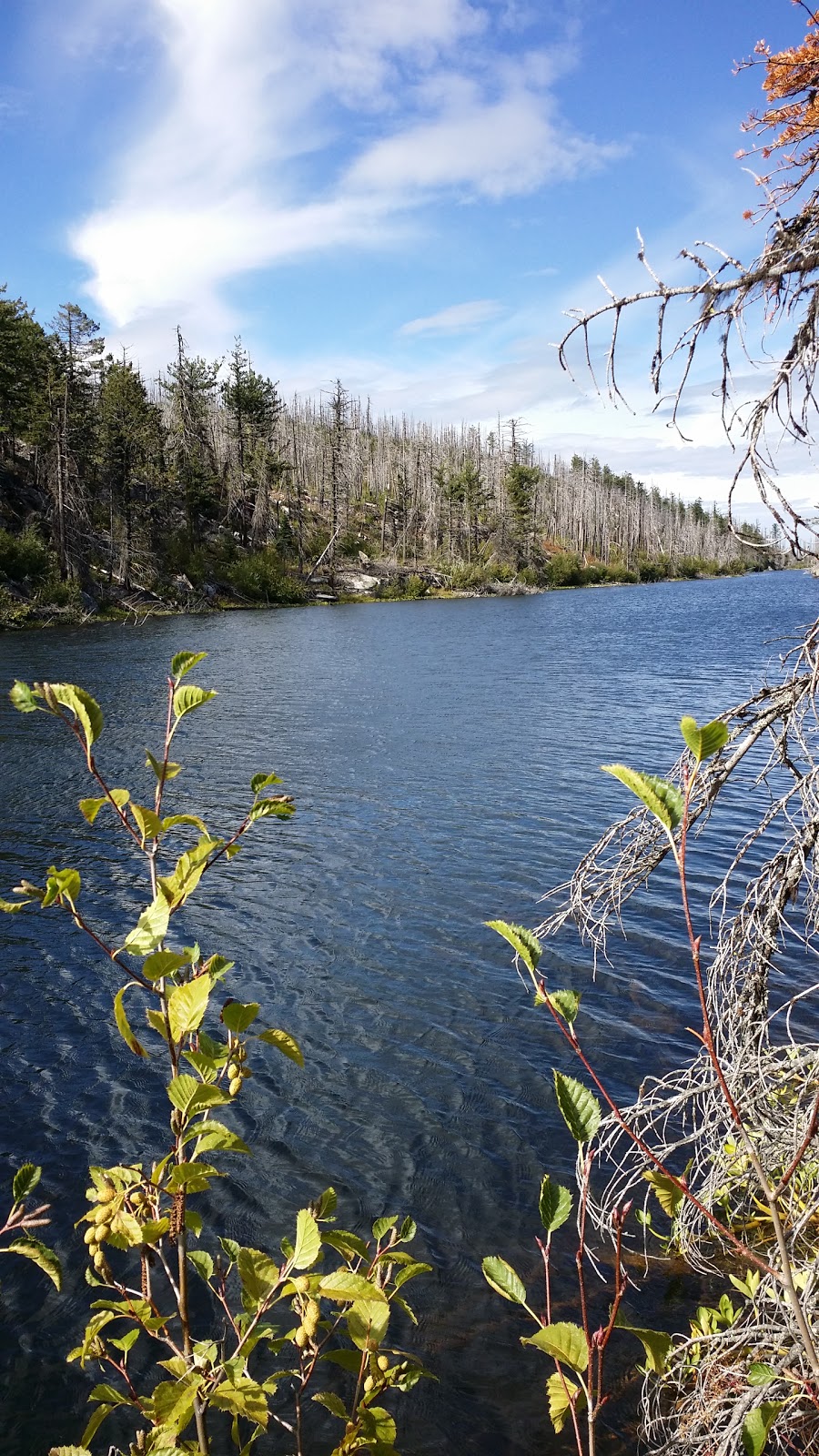 Okanagan Mountain Provincial Park | Lakeshore Rd, Okanagan-Similkameen E, BC V0H, Canada | Phone: (250) 548-0076