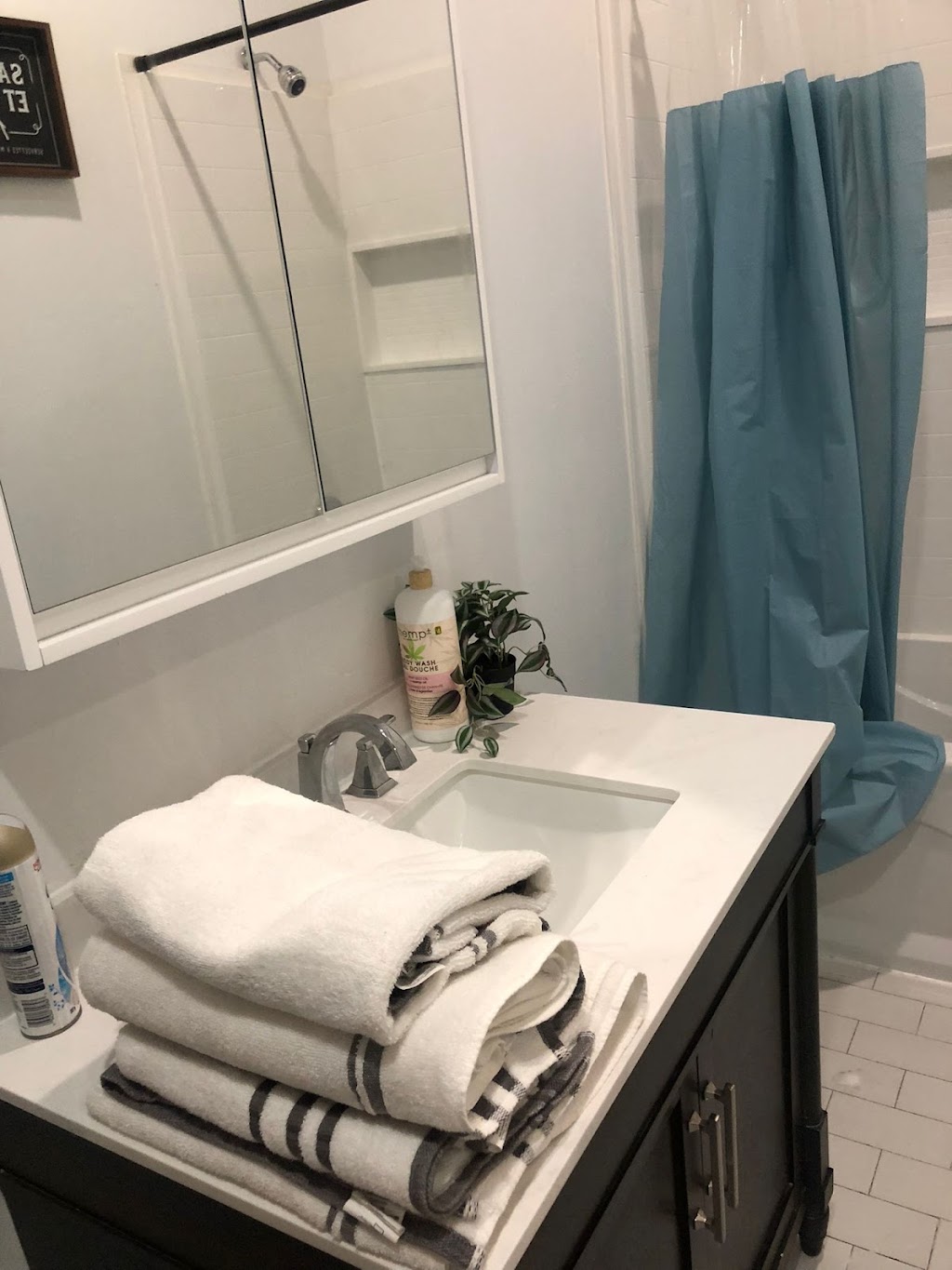 Cleanup | 1380 Rue Sainte-Catherine E, Montréal, QC H2L 4R9, Canada | Phone: (438) 834-3945