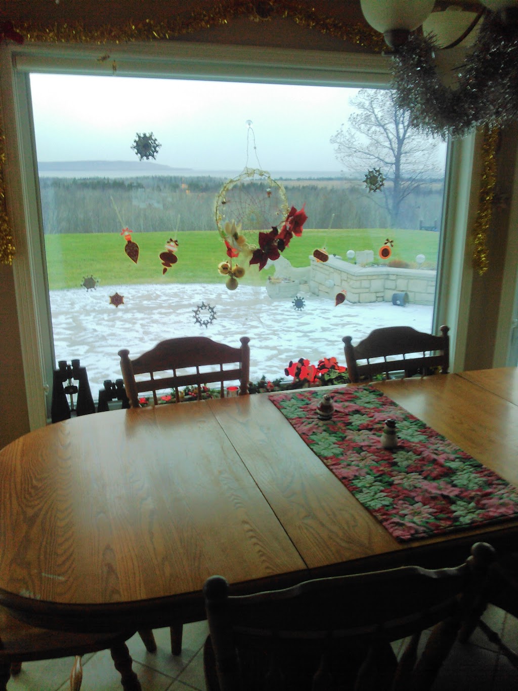 COZY CATS BED & BREAKFAST | Sydney Bay Rd, Ontario N0H 1X0, Canada | Phone: (519) 534-2273