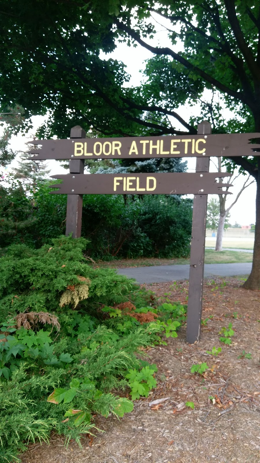 Bloor Athletic Field | 880 Lexicon Dr, Mississauga, ON L4Y 2P8, Canada