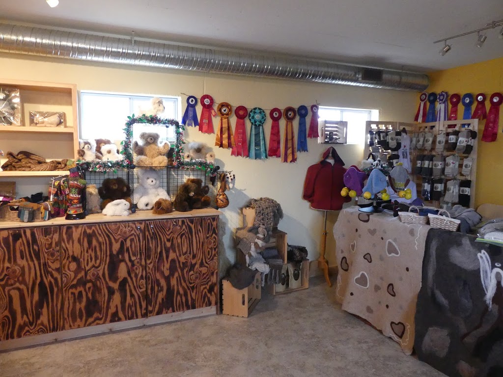 Camelot Haven Alpacas | Vernon, BC 1P9, 6841 Raven Rd, Vernon, BC V1H 1P9, Canada | Phone: (250) 549-2959