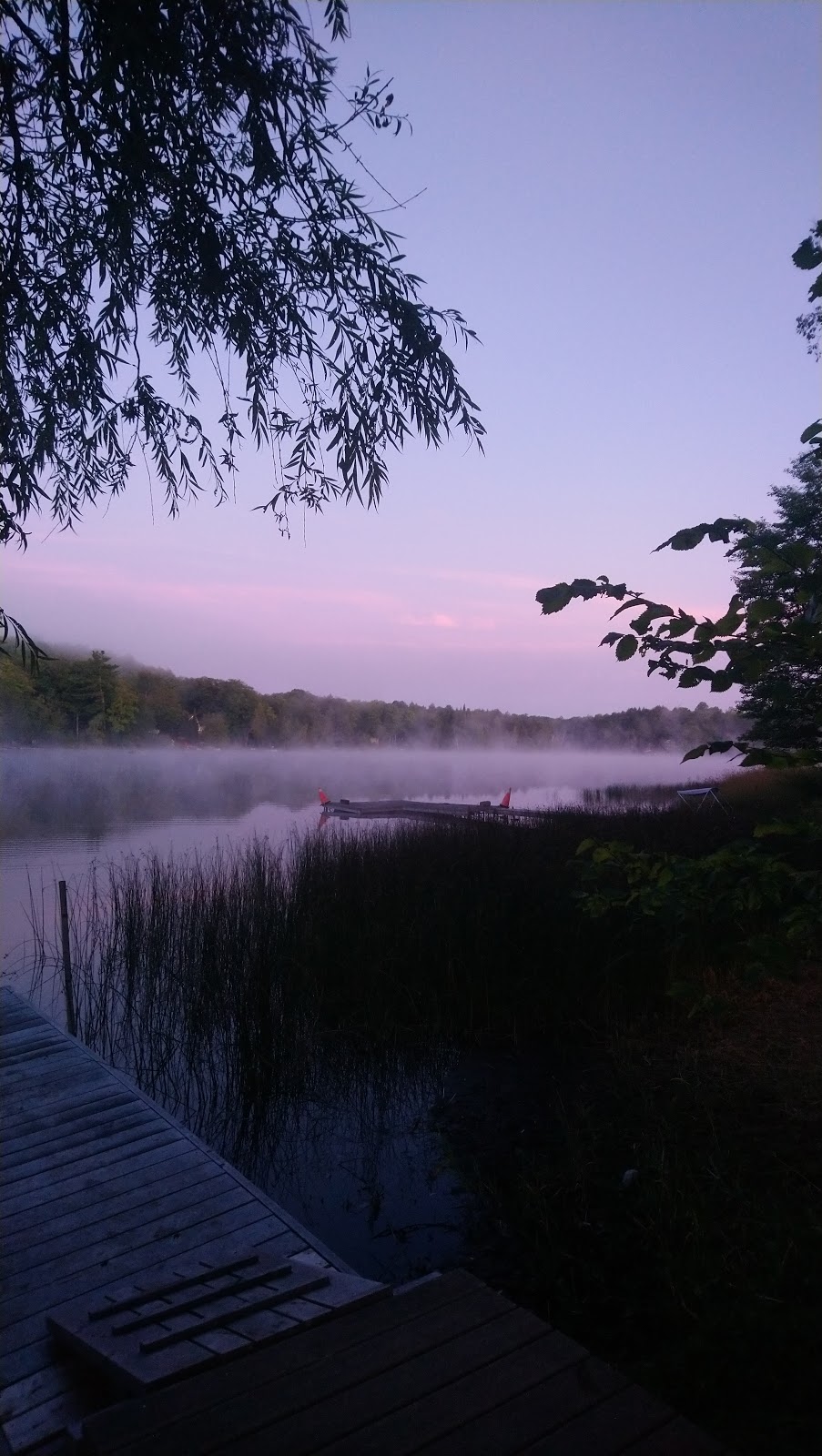 Teddy Bear Bed & Breakfast | LAmable, ON K0L 2L0, Canada | Phone: (613) 332-4678