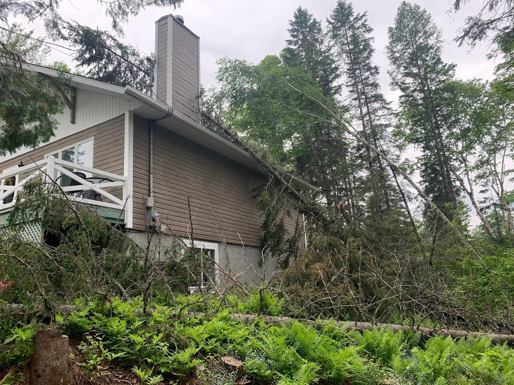 émondage Arborigenes | 2174 Rue Marie Claire, Saint-Jérôme, QC J7Y 4M9, Canada | Phone: (514) 715-2726