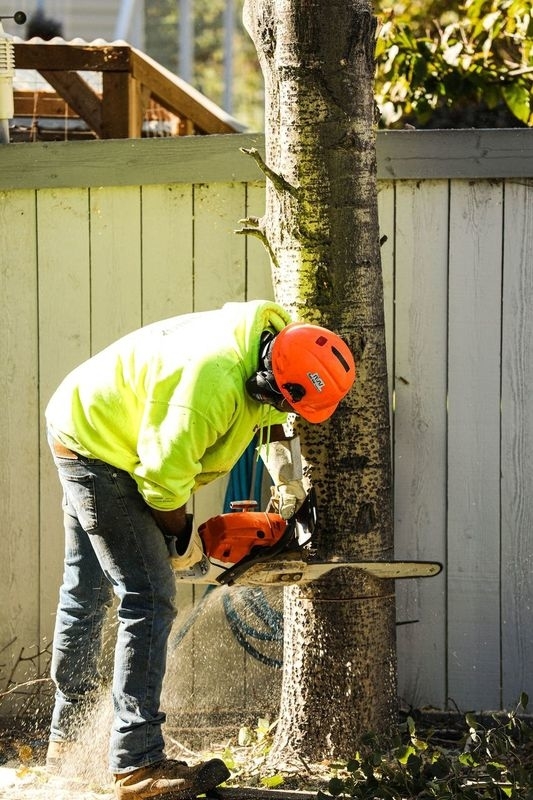 Sturgeon Valley Tree Service | 816 Grandin Dr, Morinville, AB T8R 1T9, Canada | Phone: (780) 939-3936