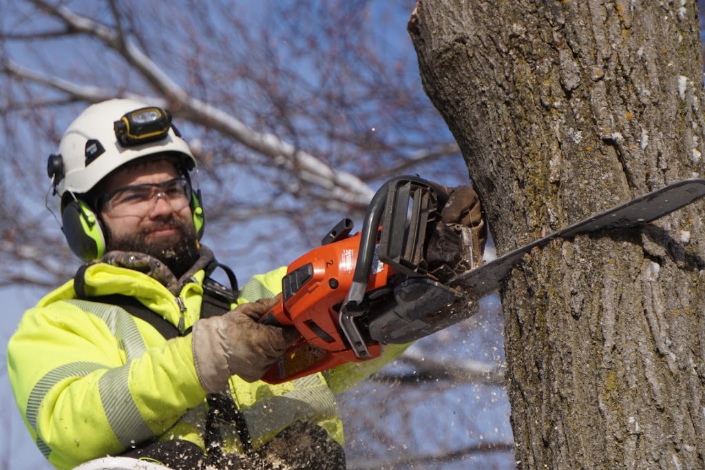 Stittsville Tree Service | 3573 Old Almonte Rd, Carp, ON K0A 1L0, Canada | Phone: (613) 296-9000