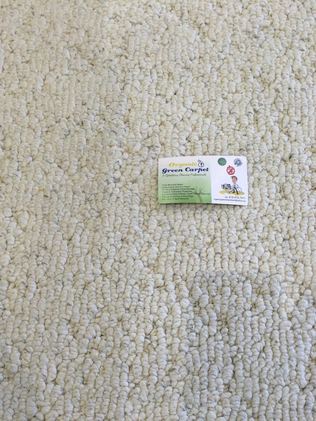 Organic Green Carpet And Upholstery Steam Cleaning Professionals | 3311 Bathurst St, North York, ON M6A 2B5, Canada | Phone: (416) 473-7411