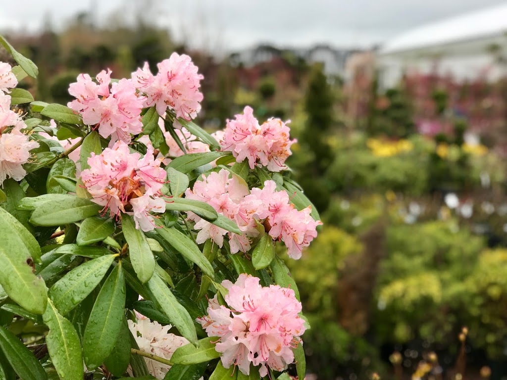 Garden In Gardens Greenhouse Ltd | 7600 No 5 Rd, Richmond, BC V6Y 2V2, Canada | Phone: (604) 233-2323