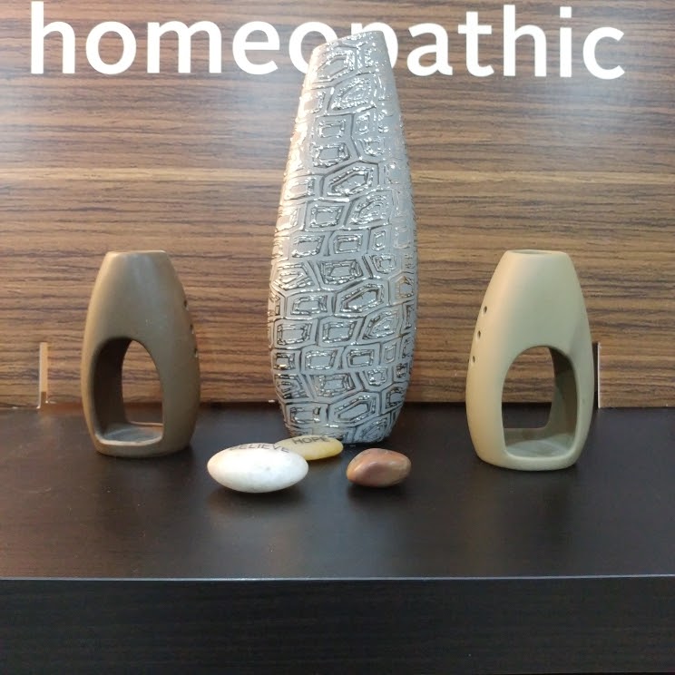 Homeo Wellness Clinic | 6929 Haines Artist Way, Mississauga, ON L5W 1B6, Canada | Phone: (647) 906-3802