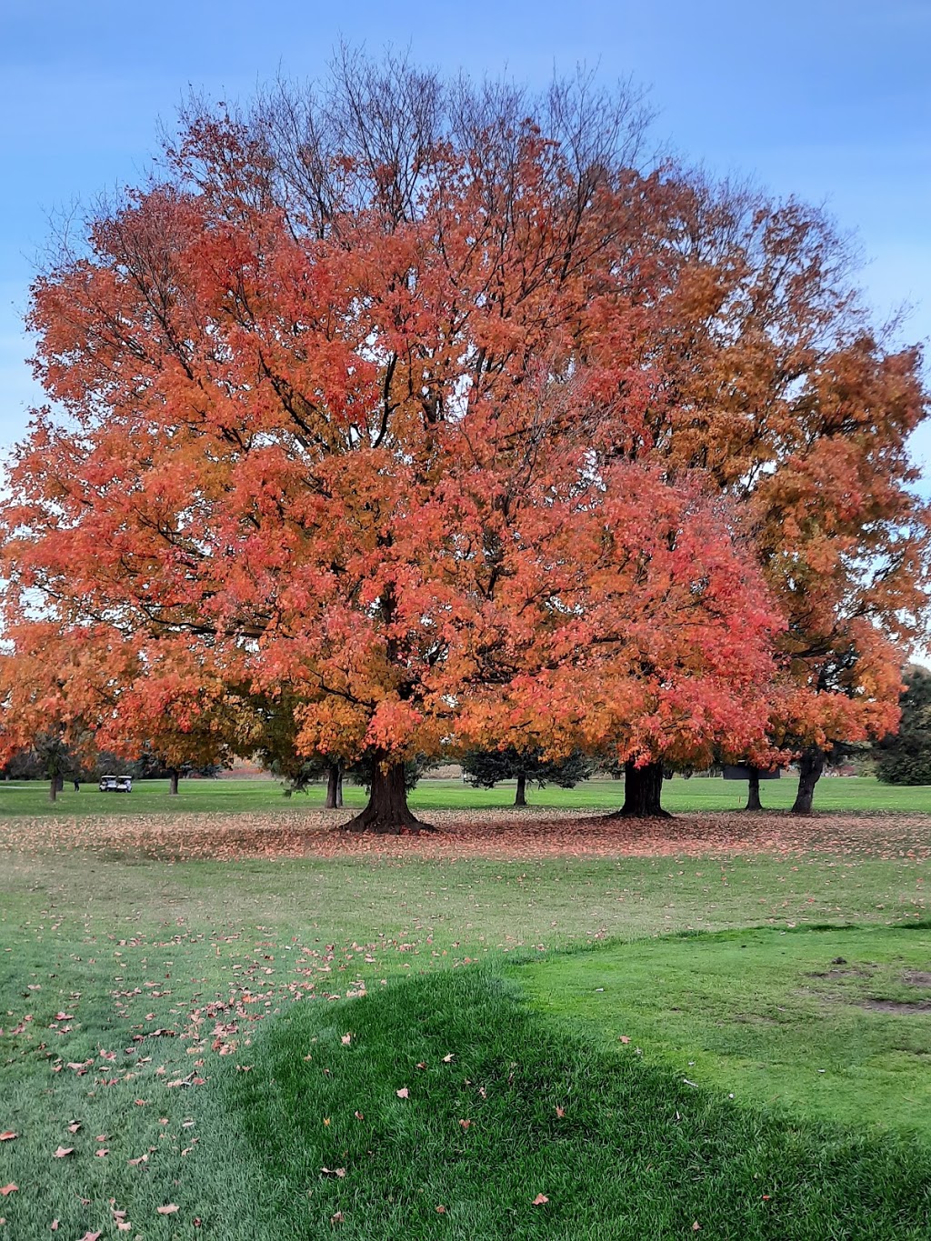 Remington Parkview Golf and Country Club | 6400 Steeles Ave E, Markham, ON L3S 3J5, Canada | Phone: (416) 293-2833