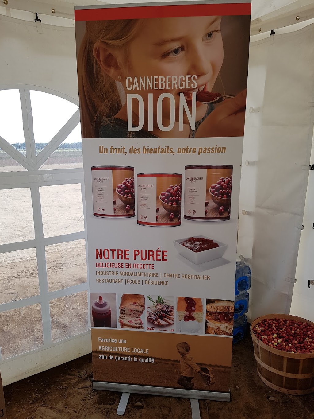 Canneberges Dion | 110 9e Rang, Saint-Albert, QC J0A 1E0, Canada | Phone: (819) 350-5934