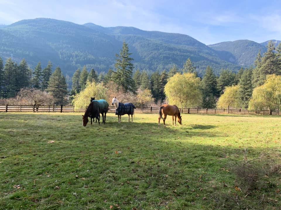 Grit Farm Fitness | 50690 Trans-Canada Hwy, Fraser Valley A, BC V0K 1C0, Canada | Phone: (778) 989-1836