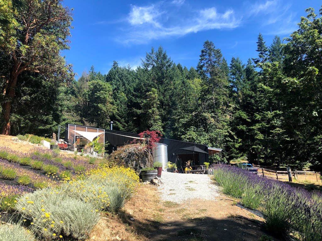 Lavender and Black Aromatic Fields | 256 Pringle Farm Rd, Salt Spring Island, BC V8K 2Y2, Canada | Phone: (778) 875-1877