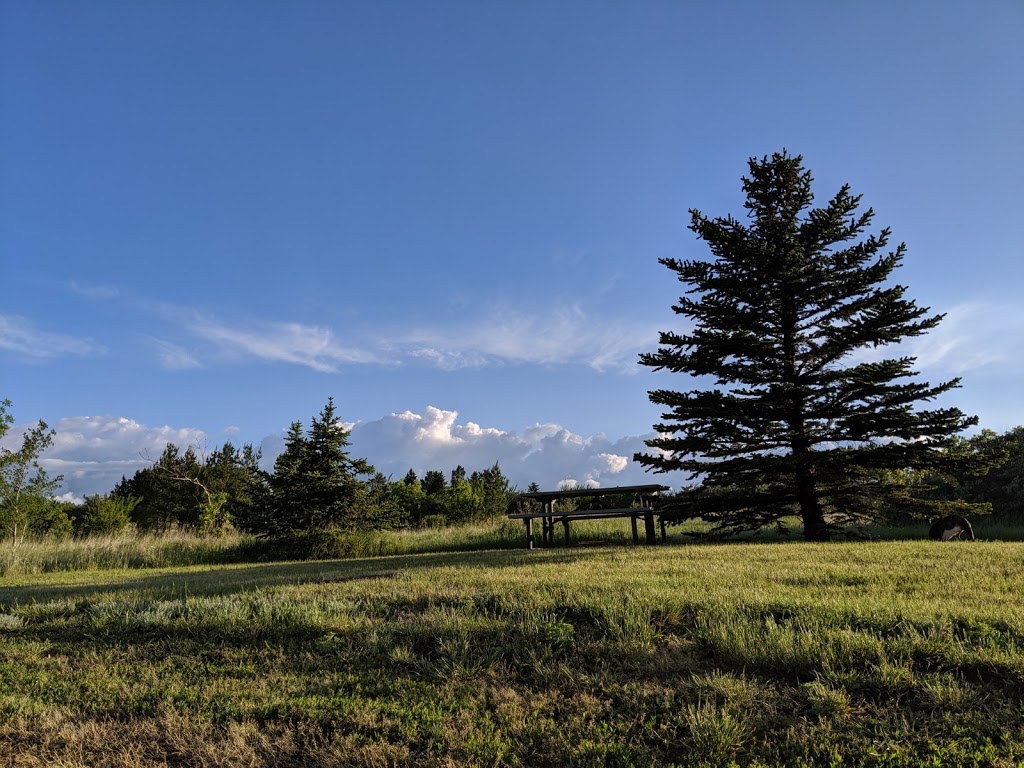 River Park Spray Park | Weyburn, SK S0C 1X0, Canada | Phone: (306) 848-3280