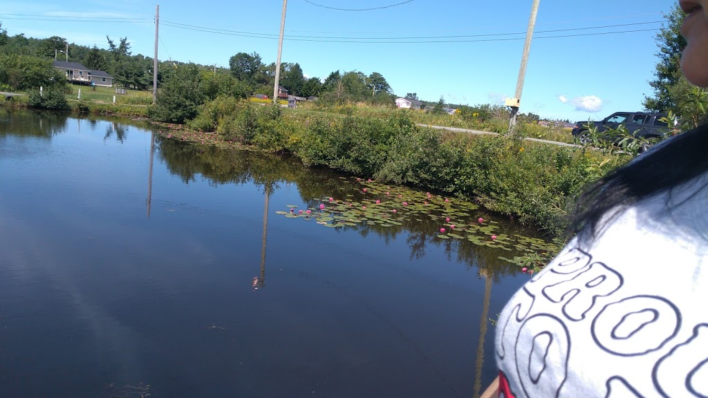 Tidal Bore Inn | 29 Truro Heights Rd, Lower Truro, NS B6L 1W7, Canada | Phone: (902) 895-9241