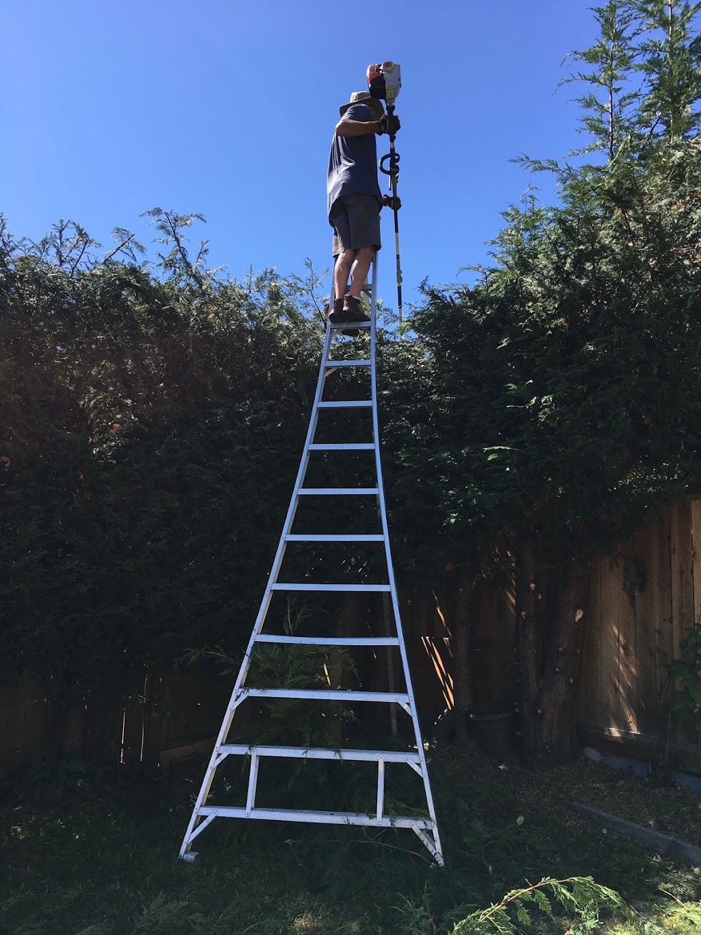 Sandy’s Gardening & Landscaping | 2025 Chaucer St, Victoria, BC V8R 1H6, Canada | Phone: (306) 231-0501