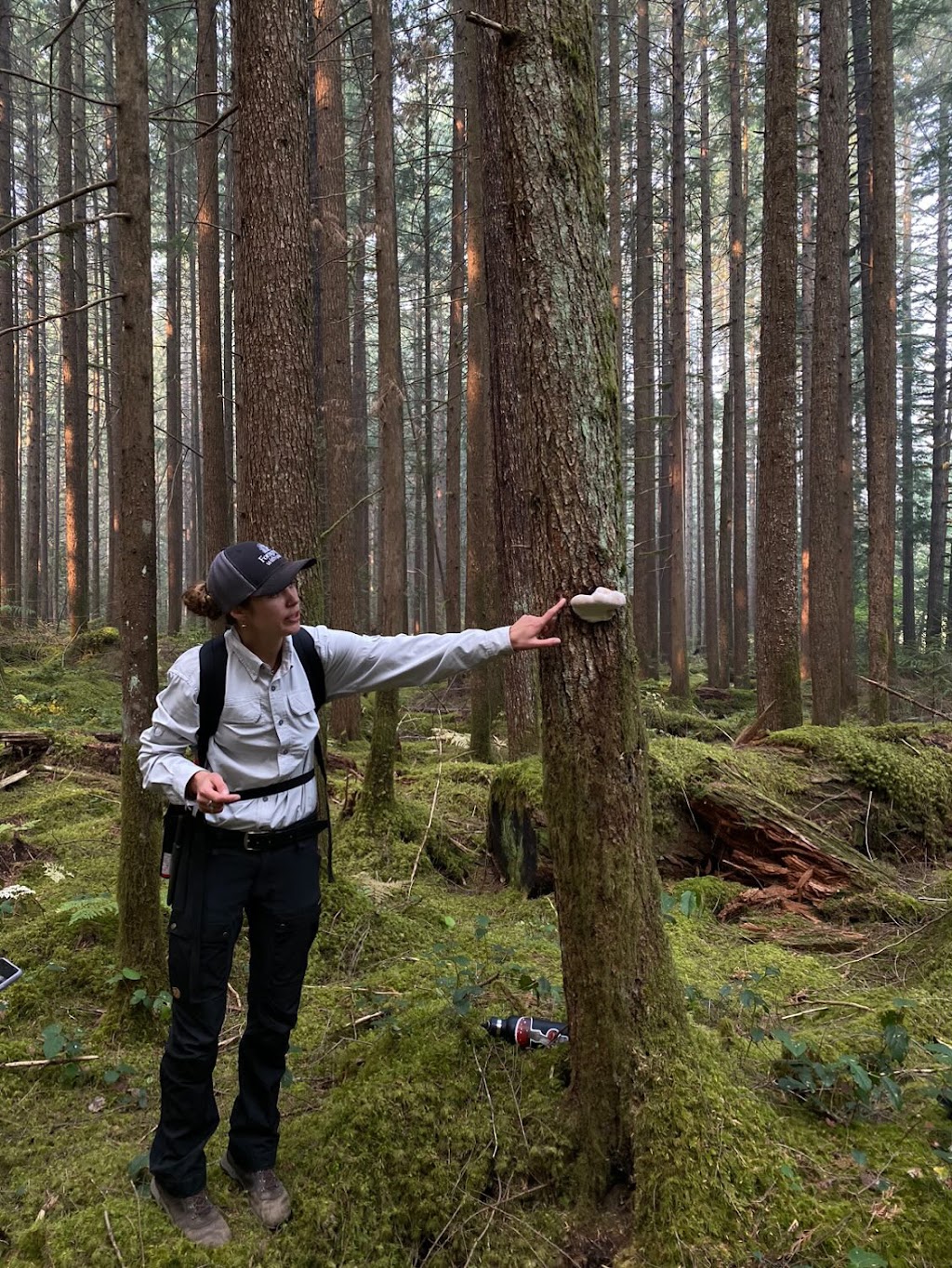 Foraging with you | Thompson Park bc, Chilliwack, BC V4Z 1B9, Canada | Phone: (250) 896-1601