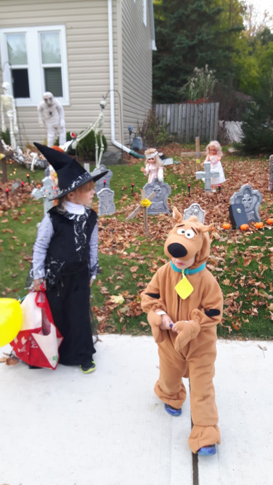 Arthur Arena | 158 Domville St, Arthur, ON N0G 1A0, Canada | Phone: (519) 848-3820