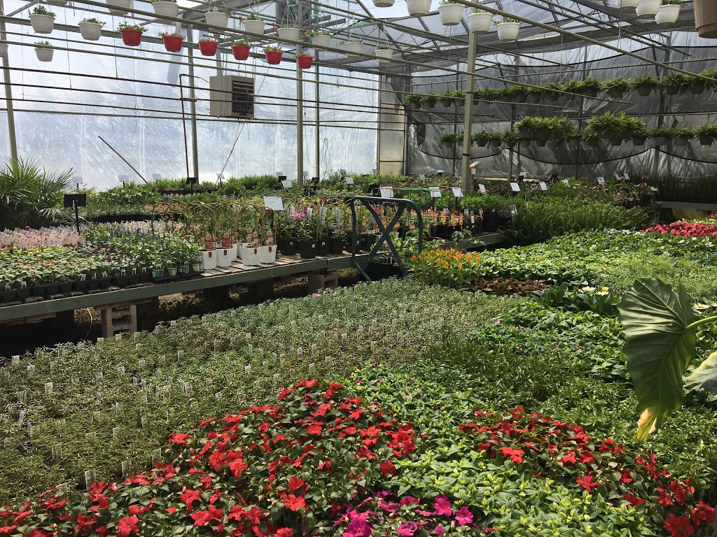 Sebringville Garden Centre | 137 Huron Rd, Stratford, ON N5A 6S6, Canada | Phone: (519) 393-6131