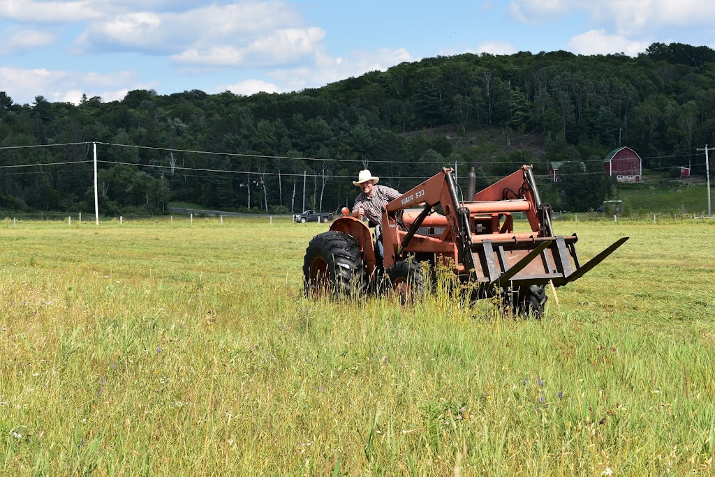 Blue Roan Ranch | 1202 Eagle Lake Rd, South River, ON P0A 1X0, Canada | Phone: (705) 323-0264