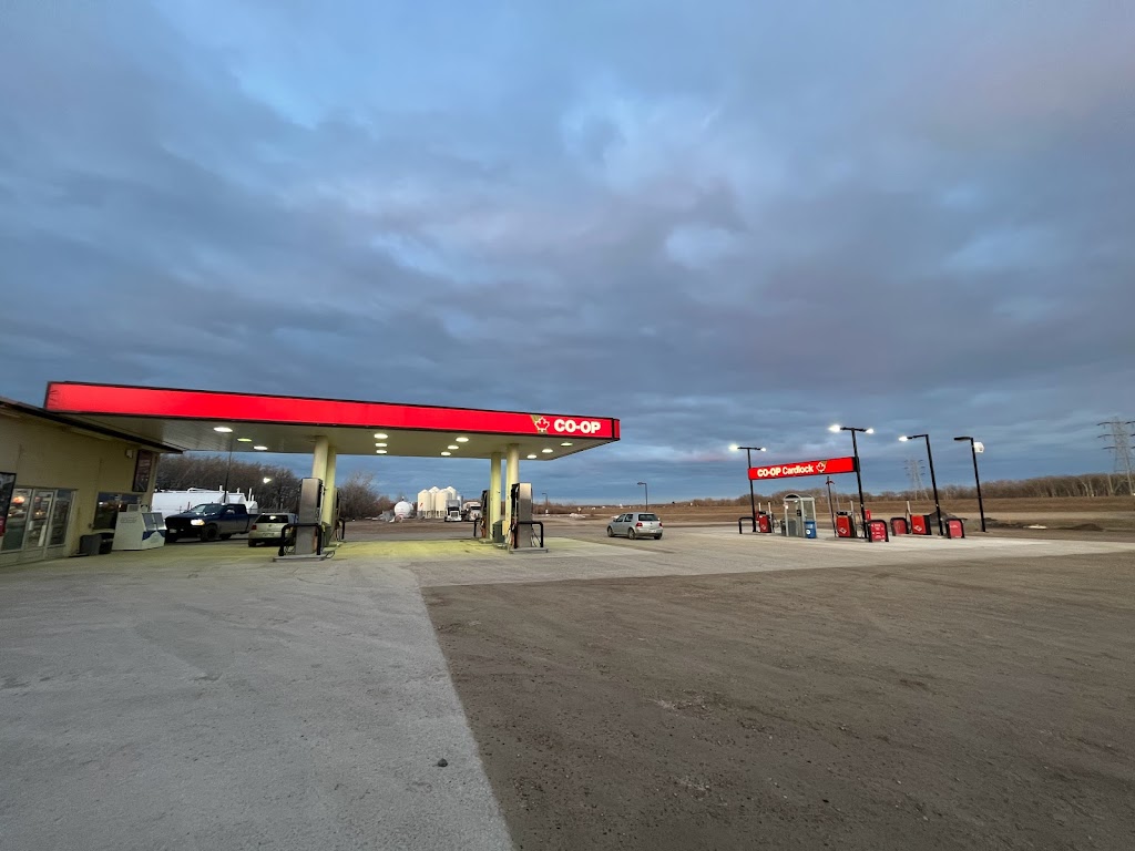 Homestead Co-op @ Austin Gas Bar | 66150 Tower Line Rd, Austin, MB R1N 3B3, Canada | Phone: (204) 637-3065