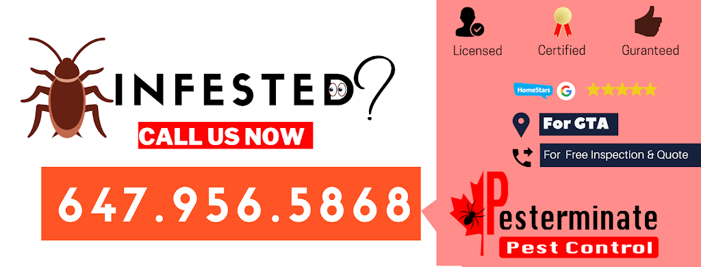 Pesterminate Inc | 78 Dalmatian Crescent, Scarborough, ON M1C 4W6, Canada | Phone: (647) 956-5868