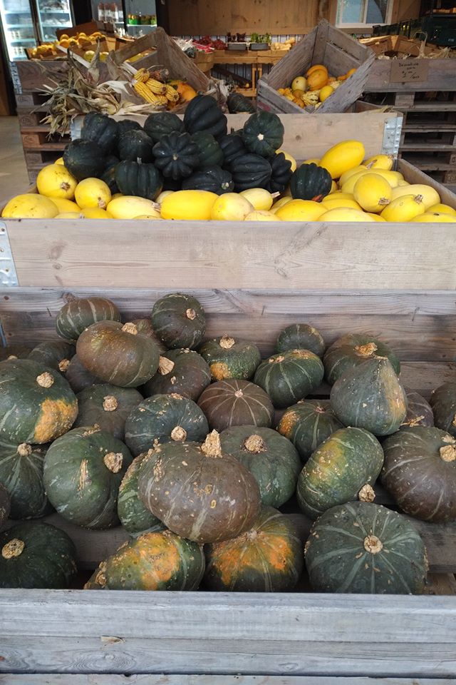 Maillouxs Farm Fresh | 500 Alma St, Amherstburg, ON N9V 2Y9, Canada | Phone: (519) 819-6192