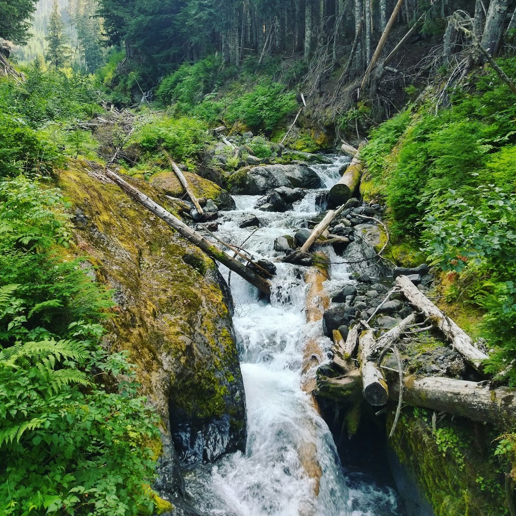 Heliotrope Ridge Trailhead | Deming, WA 98244, USA | Phone: (360) 856-5700