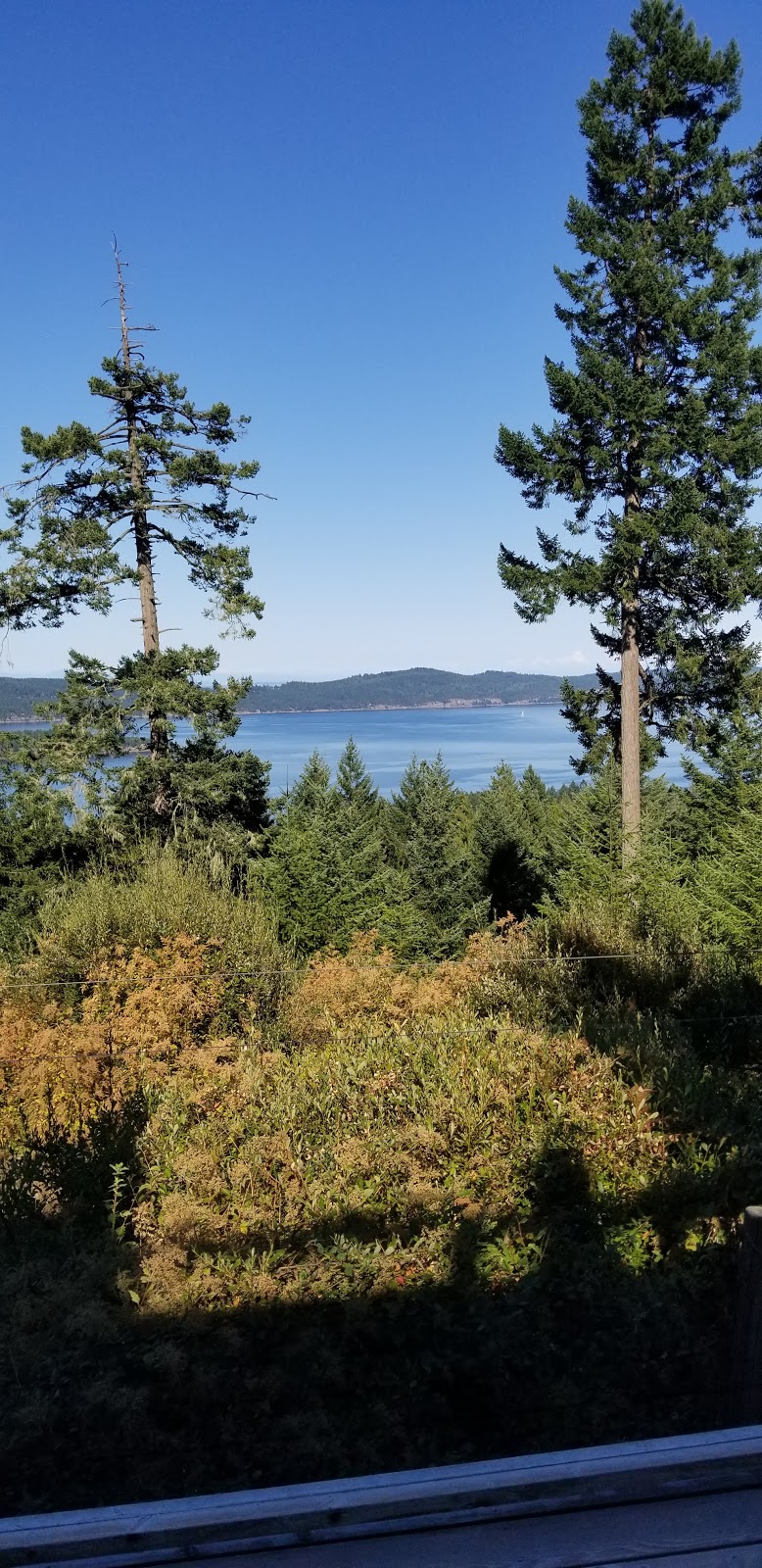 OceanView GetAway Guest House | 180 Suneagle Dr, Salt Spring Island, BC V8K 1E5, Canada | Phone: (604) 764-2348