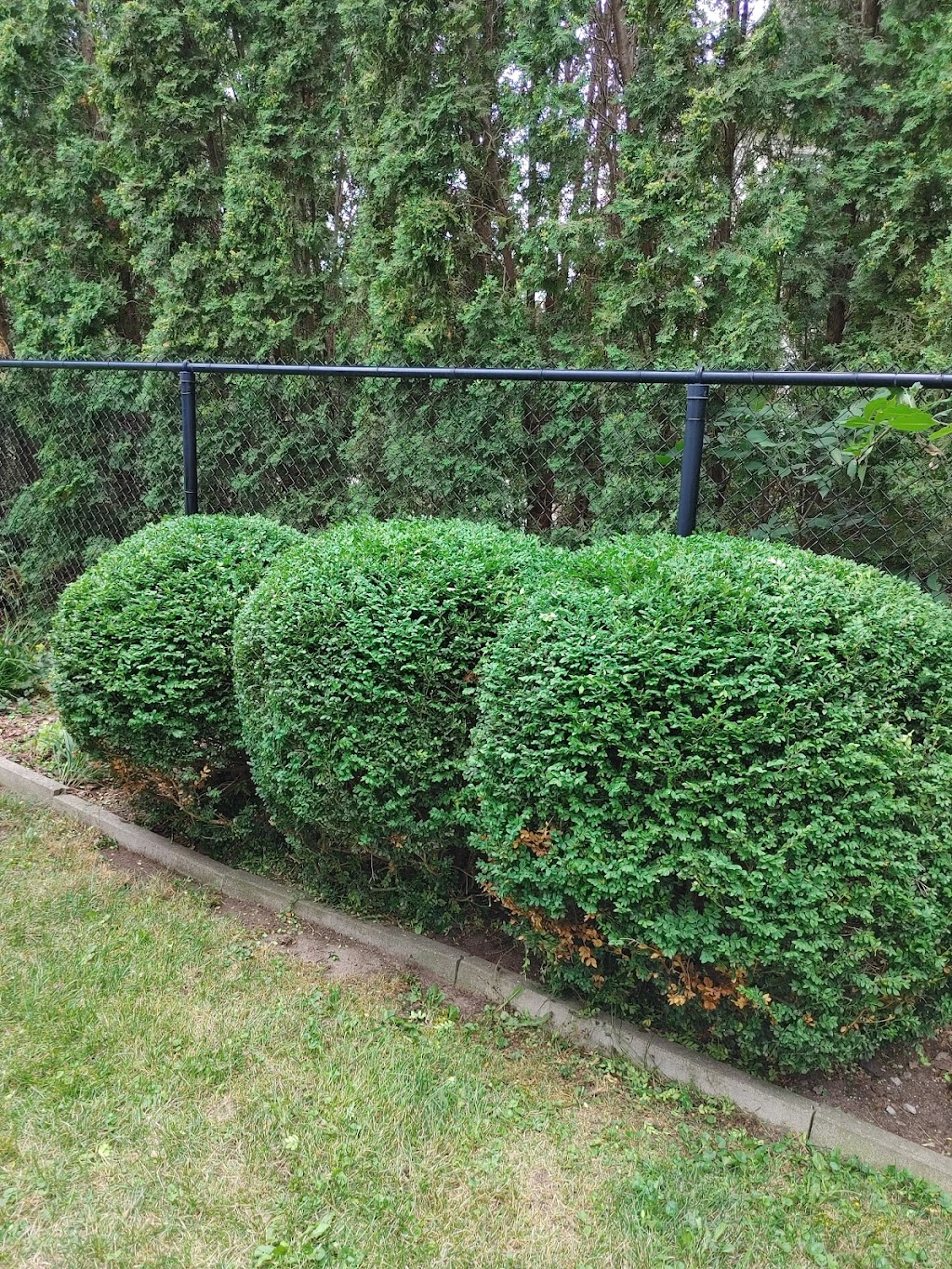 Red Bears Lawn Care | 4925 Rue de Nanterre, Pierrefonds-Roxboro, QC H9J 1W2, Canada | Phone: (514) 827-4855