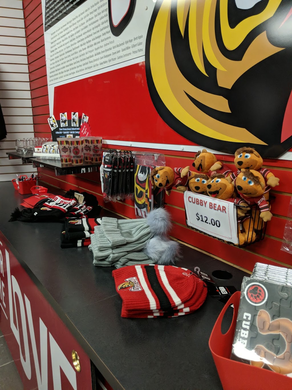 Owen Sound Attack Major Jr A Hockey Club | 1900 3rd Ave E, Owen Sound, ON N4K 2M6, Canada | Phone: (519) 371-7452